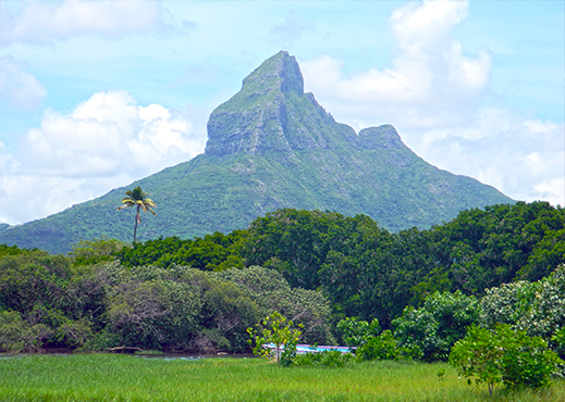 tamarin mauritius